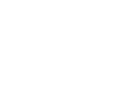 Zin logo