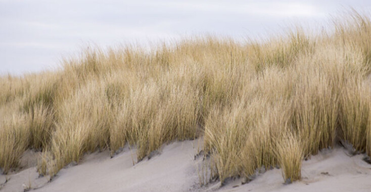 Uitwaaien op Texel