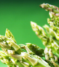 Brabants asperge arrangement