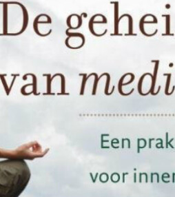 De geheimen van meditatie – Davidji