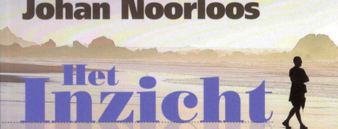 Het inzicht – Johan Noorloos