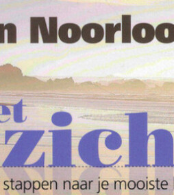 Het inzicht – Johan Noorloos