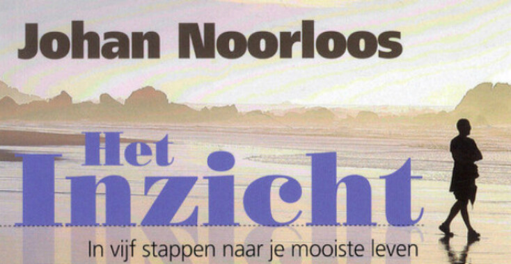 Het inzicht – Johan Noorloos