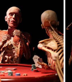 Body Worlds: tentoonstelling onder de huid