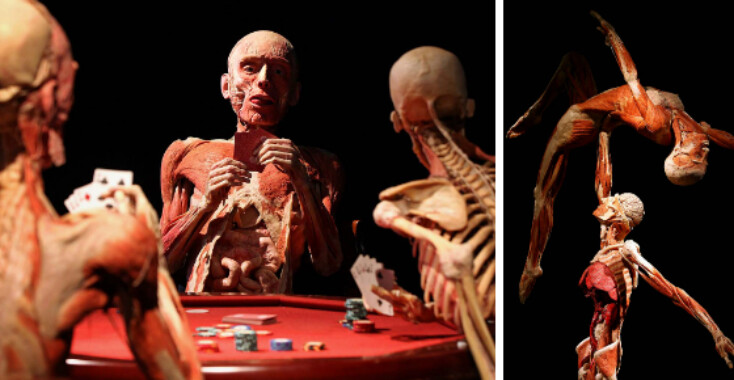 Body Worlds: tentoonstelling onder de huid