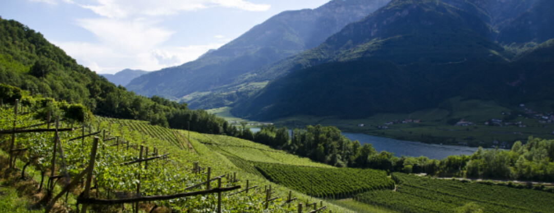 Zuid-Tirol: De kleinste wijnregio van Italië