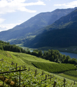 Zuid-Tirol: De kleinste wijnregio van Italië