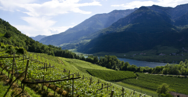 Zuid-Tirol: De kleinste wijnregio van Italië