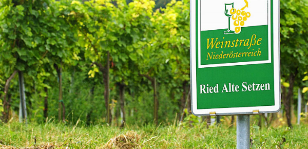 Koop met korting zuivere Grüner Veltliner wijn uit Oostenrijk