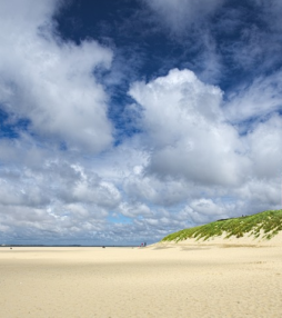 Kunst aan de kust