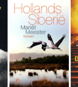 Vier boekentips uit Zin 13