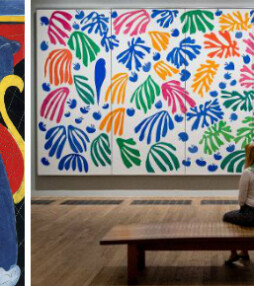 De Oase van Matisse – 5 redenen om te gaan!