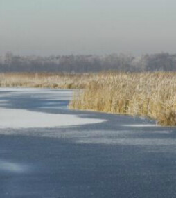 Natuurliefhebbers opgelet!