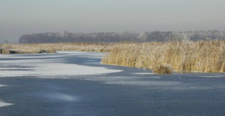 Natuurliefhebbers opgelet!