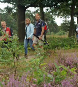 Een omtrek van hei, bos en vallei – wandel mee!