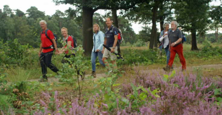 Een omtrek van hei, bos en vallei – wandel mee!