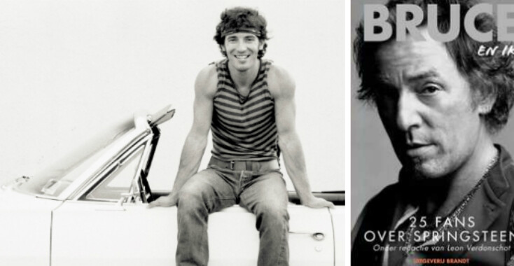 Icoon Bruce Springsteen