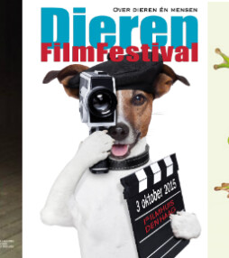 Originele filmfestivals