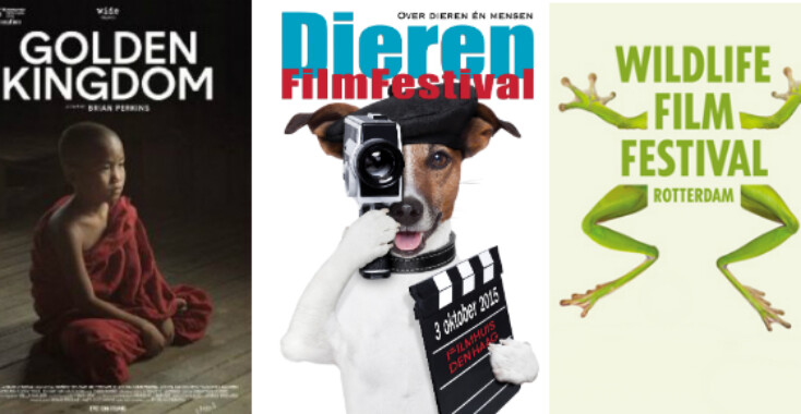 Originele filmfestivals