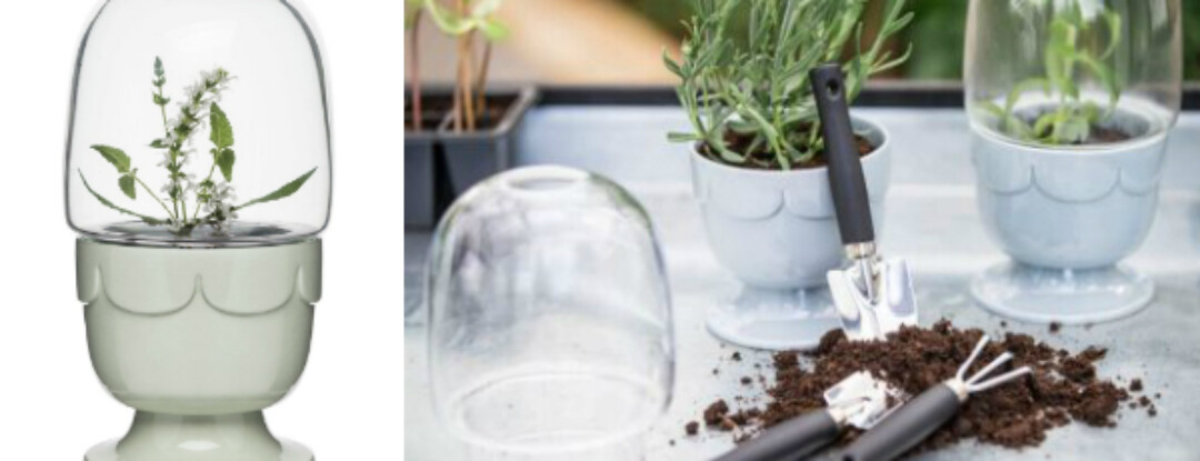 Mini-greenhouse winnen?