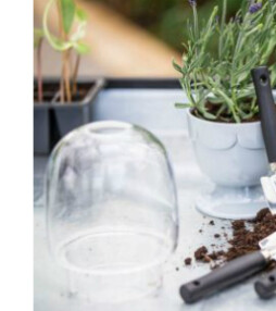 Mini-greenhouse winnen?