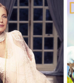 Win de nieuwe Danielle Steel!