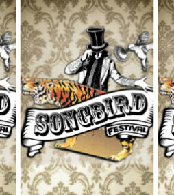 3x niet missen op het Songbird festival