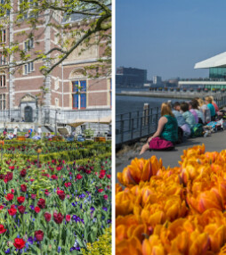 Proef de lente, bezoek de tulpenstad