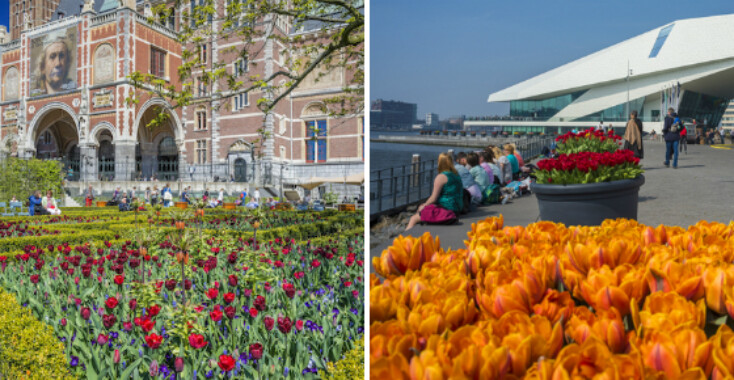 Proef de lente, bezoek de tulpenstad