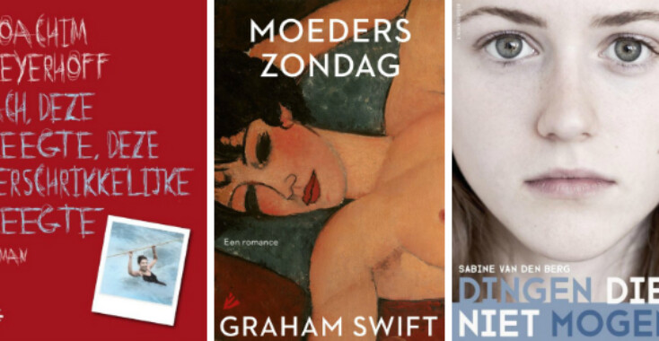 Drie toppers voor in de boekenkast