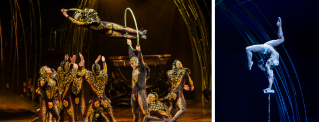 Met korting naar Amaluna van Cirque du Soleil!