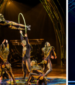 Met korting naar Amaluna van Cirque du Soleil!