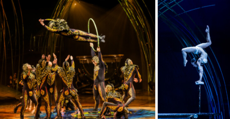 Met korting naar Amaluna van Cirque du Soleil!