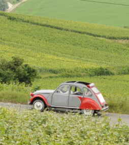 Roadtrip door de champagnestreek