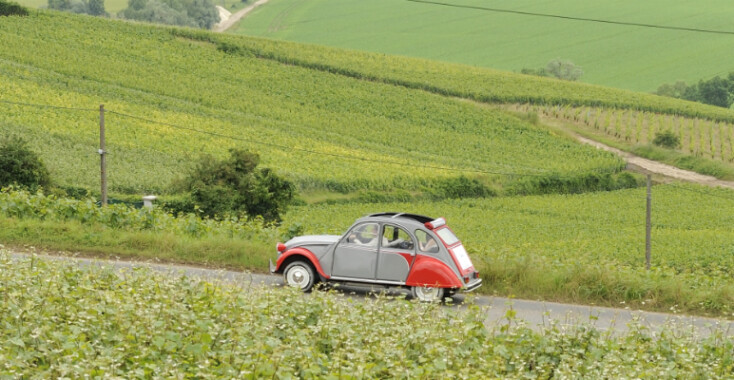 Roadtrip door de champagnestreek