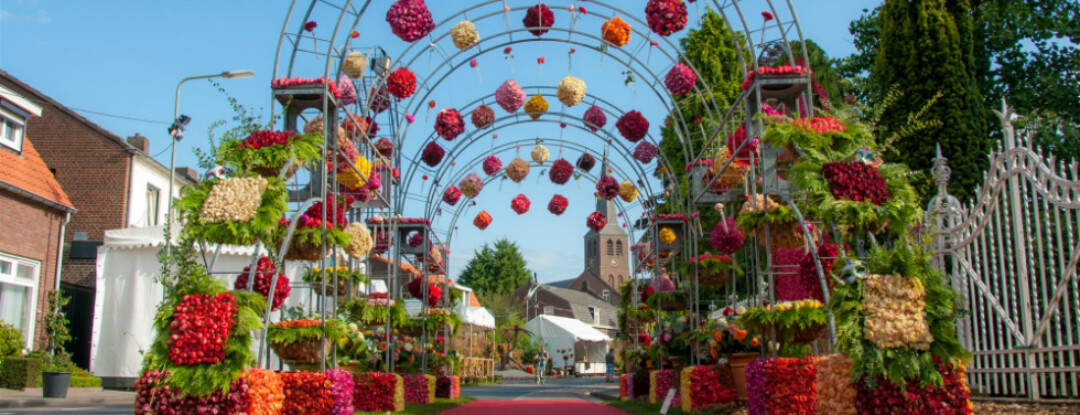 Zomertip: zwemmen in een bloemenzee