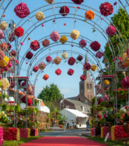 Zomertip: zwemmen in een bloemenzee