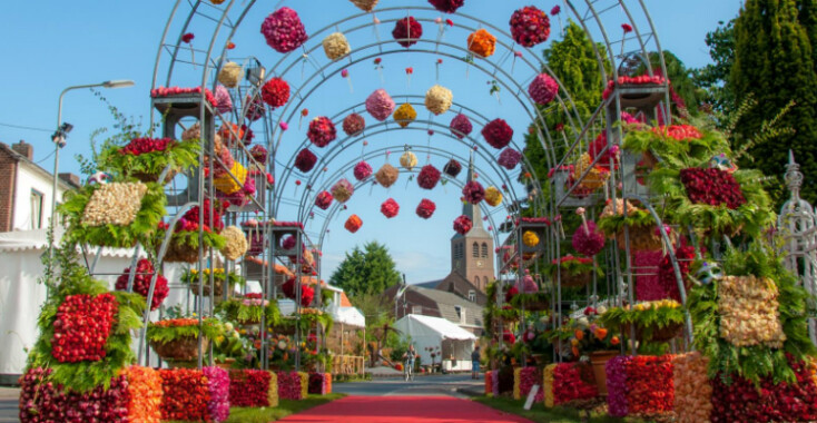 Zomertip: zwemmen in een bloemenzee