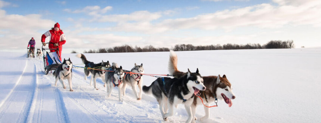 Droomvakantie naar Fins Lapland