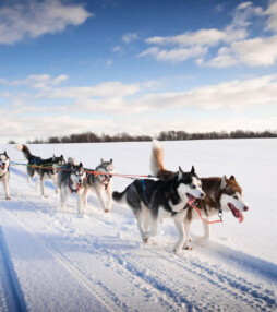 Droomvakantie naar Fins Lapland