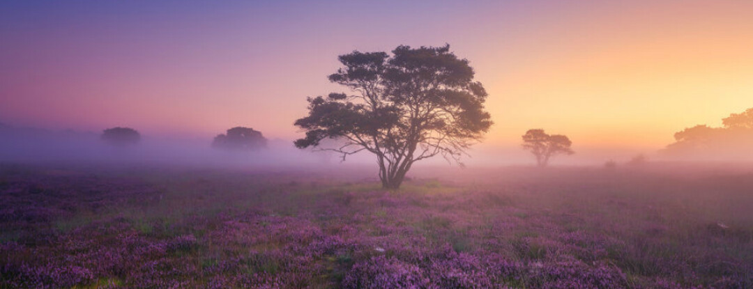 De mooiste foto’s van Nederland