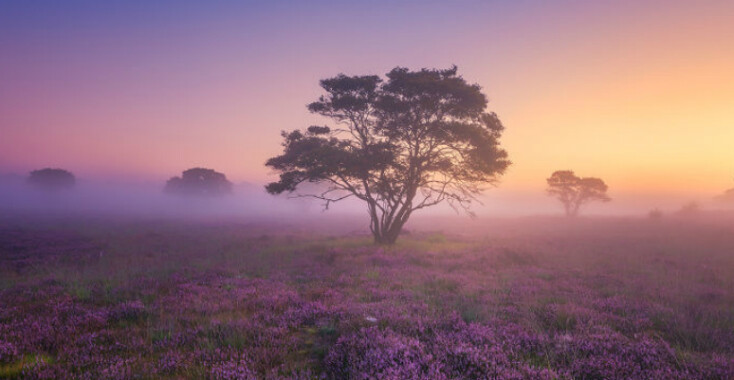 De mooiste foto’s van Nederland