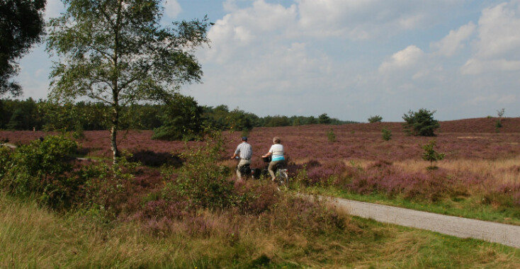 6x eropuit in de Gelderse streken!