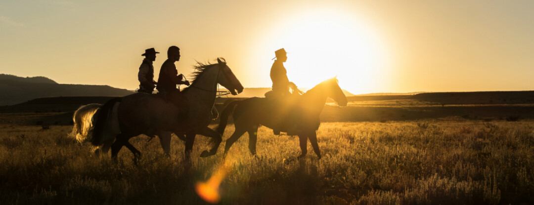 The Magnificent Seven een must see filmremake!