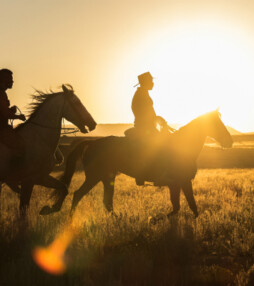 The Magnificent Seven een must see filmremake!