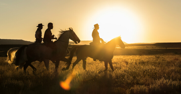 The Magnificent Seven een must see filmremake!