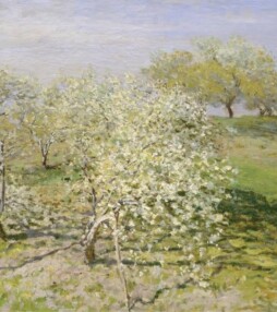 Ontdek Daubigny, Monet, Van Gogh met korting