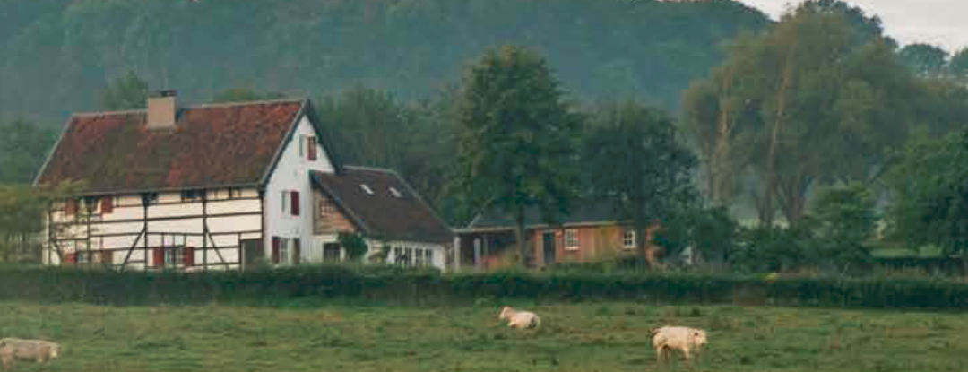 Actief onthaasten in Zuid-Limburg