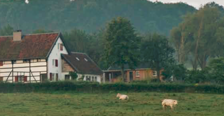 Actief onthaasten in Zuid-Limburg