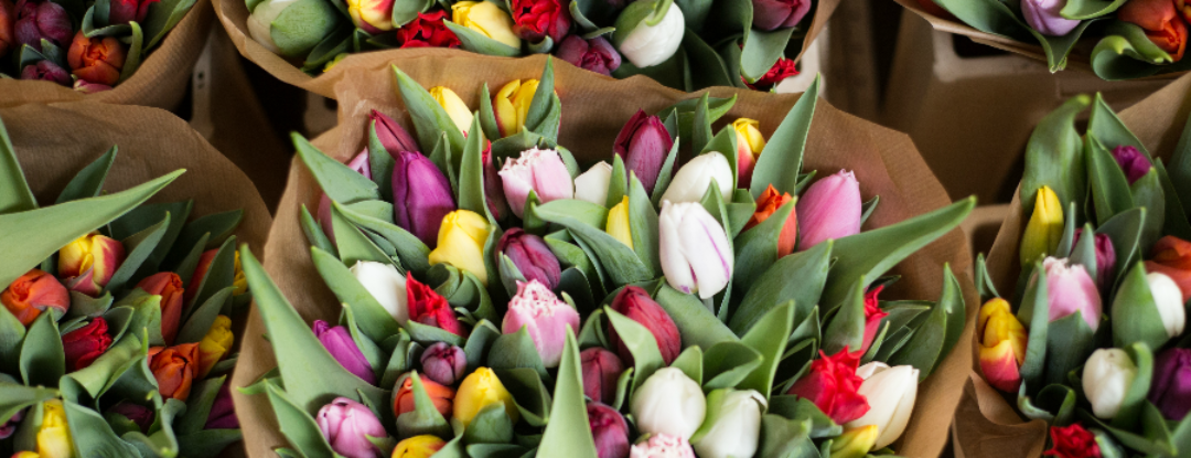 De bloemetjes buiten zetten